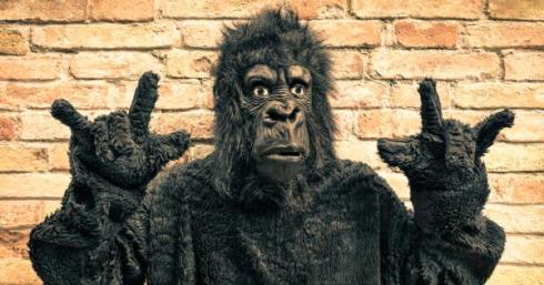 bigstock-funny-fake-gorilla-with-rock-a-109817777